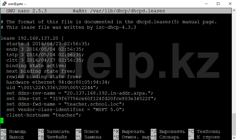 Ubuntu Server Как узнать список зарезервированных DHCP адресов компьютеров - Mhelp.kz